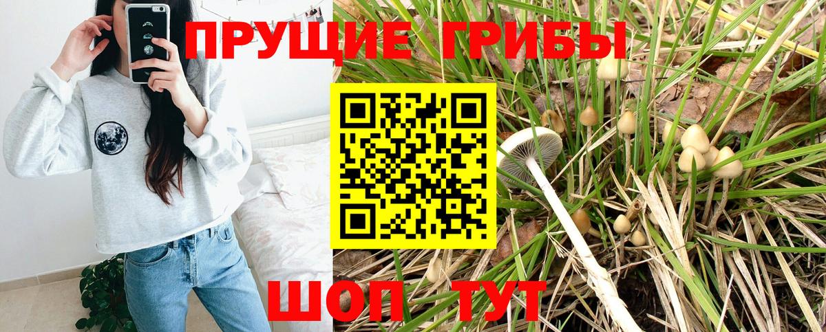 Псилоцибиновые грибы GOLDEN TEACHER  Вход с VPN  Томск 
