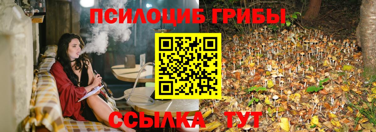Галлюциногенные грибы Cubensis Томск